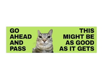 Ironic Meme Cat Bumper Sticker: Funny Car Decal