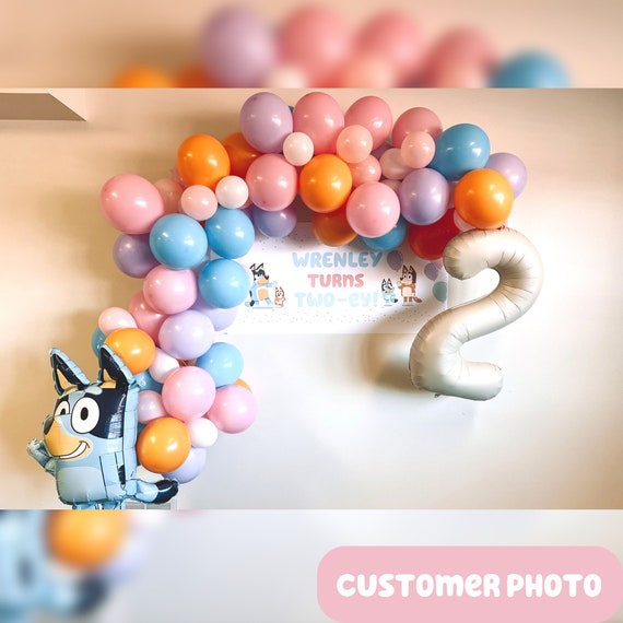 117pcs Bluey Theme Birthday Party Supplies Balloon Garland Arch Set Latex  Dog Bone Balloon Baby Shower Bluey Birthday Decoration - AliExpress