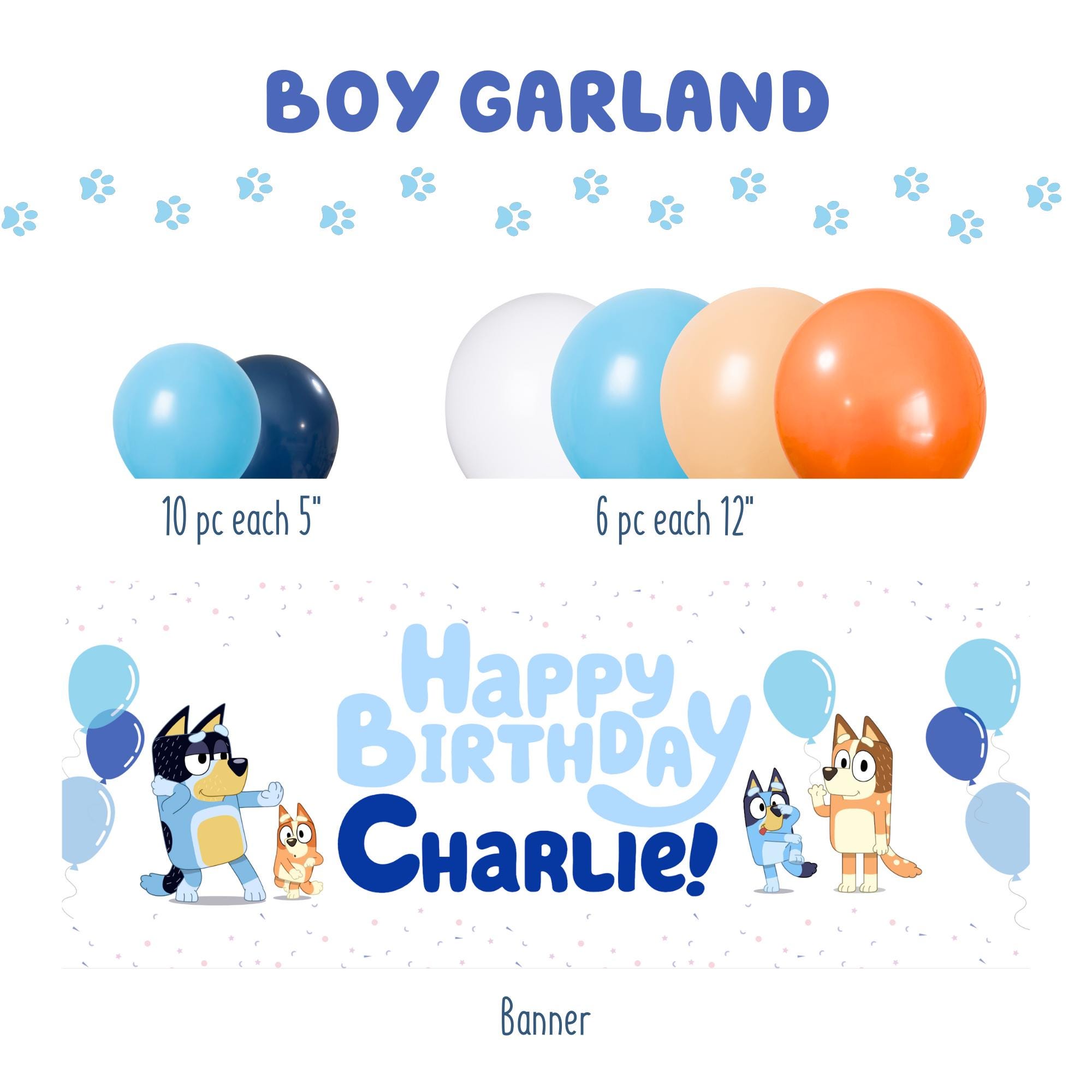 Bluey Birthday Party Balloon Garland