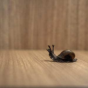 Puede incluir: Una figurita de bronce de un caracol con una concha detallada y tent&aacute;culos extendidos. El caracol est&aacute; sentado sobre una superficie de madera.