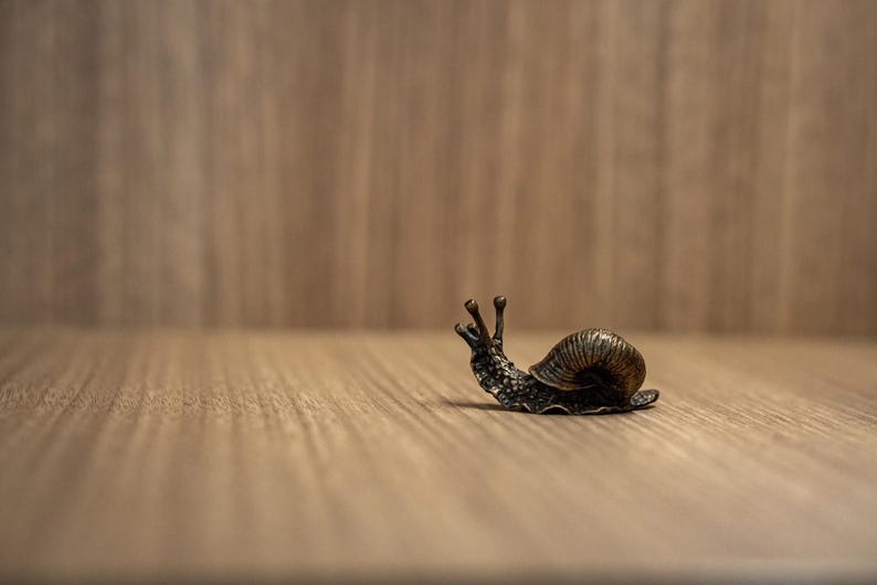 Puede incluir: Una figurita de bronce de un caracol con una concha detallada y tent&aacute;culos extendidos. El caracol est&aacute; sentado sobre una superficie de madera.