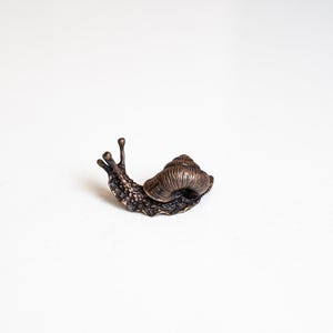 Puede incluir: Una peque&ntilde;a escultura de bronce de un caracol con una concha detallada y un cuerpo texturizado.