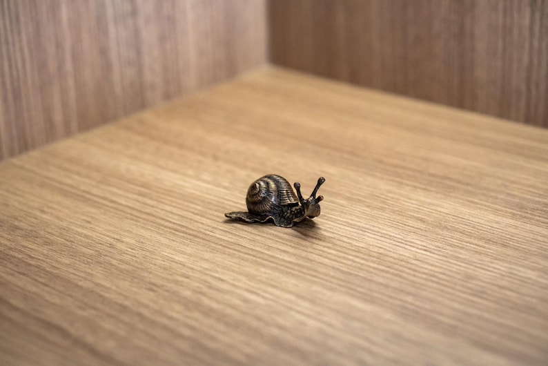 Puede incluir: Una peque&ntilde;a figurita de caracol negra y plateada sobre una superficie de madera.