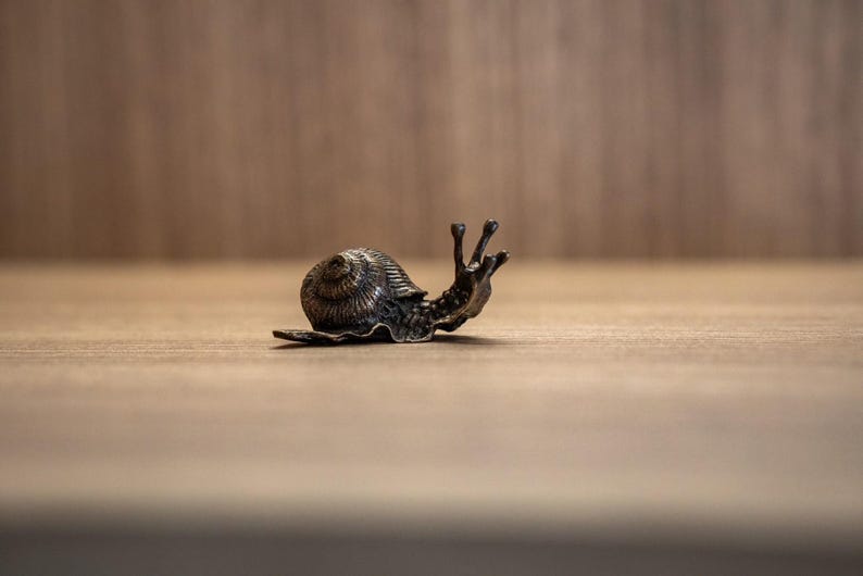 Puede incluir: Una peque&ntilde;a figurita de bronce de un caracol con una concha detallada y tent&aacute;culos extendidos. La figurita est&aacute; sentada sobre una superficie de madera.