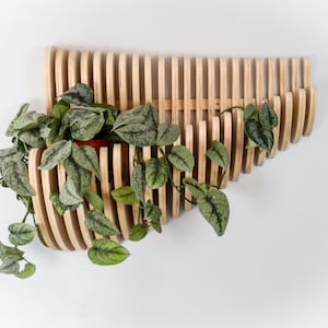 Parametric Wood Wall Art & Plant Holder: Modern Flowing Design