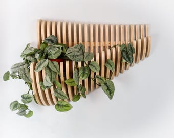 Parametric Wood Wall Art & Plant Holder: Modern Flowing Design