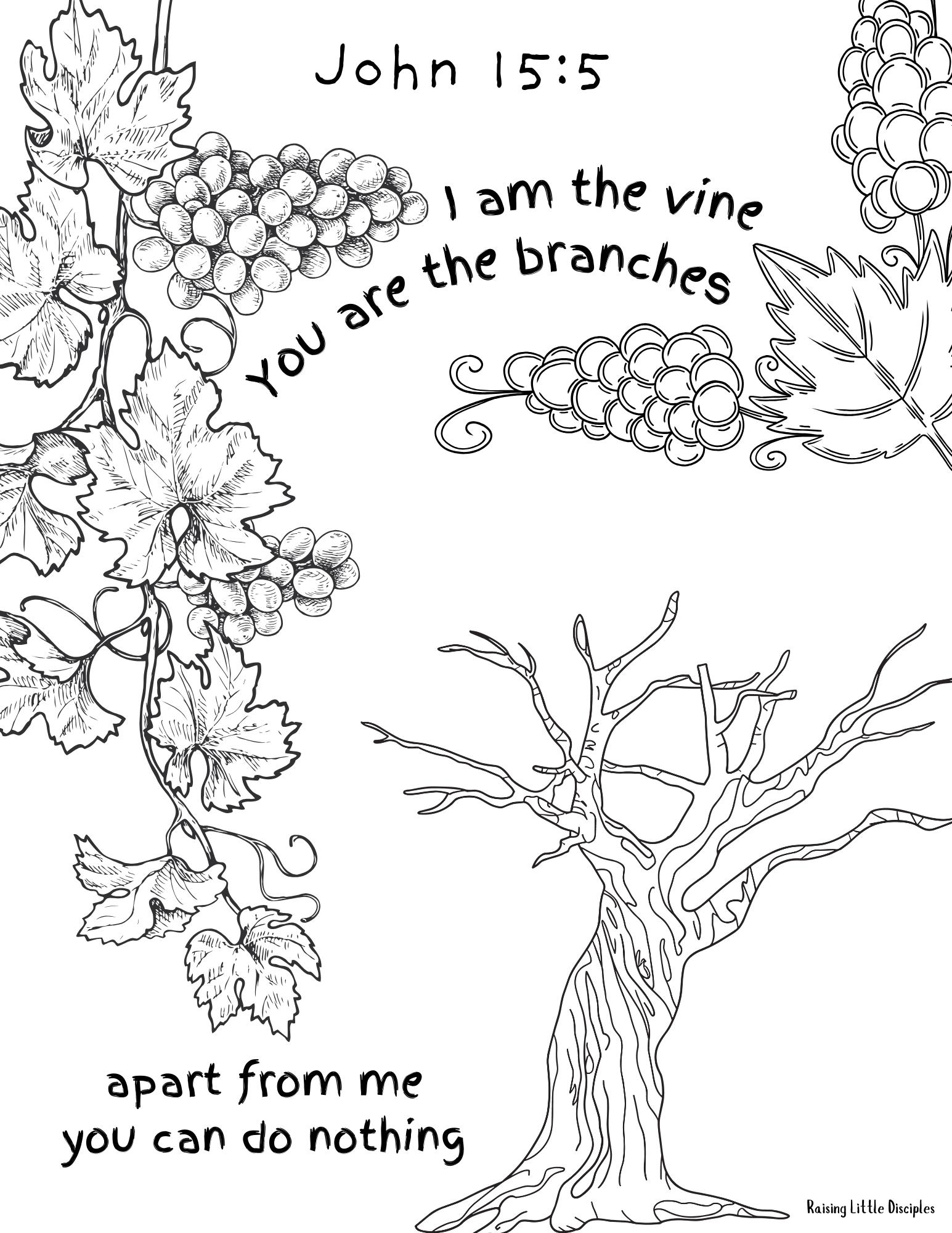 Jesus is the vine, the true source of life for us believers. We are branches  connected to Him, drawing that life from Him as branches draw the necessary  nutrients to survive and, image size:1545x2000