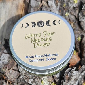 Dried White Pine Needles