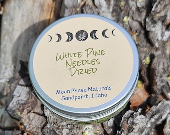 Dried White Pine Needles