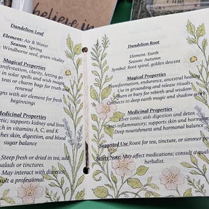 Może przedstawiać: Otwarta broszura informacyjna z kremowymi stronami, zawierająca botaniczne ilustracje kwiat&oacute;w i liści w kolorze zielonym i r&oacute;żowym. Tekst szczeg&oacute;łowo opisuje magiczne i lecznicze właściwości liści oraz korzenia mniszka lekarskiego, w tym żywioły, pory roku i uwagi dotyczące bezpieczeństwa.