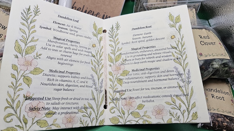 Może przedstawiać: Otwarta broszura informacyjna z kremowymi stronami, zawierająca botaniczne ilustracje kwiat&oacute;w i liści w kolorze zielonym i r&oacute;żowym. Tekst szczeg&oacute;łowo opisuje magiczne i lecznicze właściwości liści oraz korzenia mniszka lekarskiego, w tym żywioły, pory roku i uwagi dotyczące bezpieczeństwa.