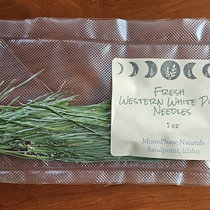 Western White Pine Needles