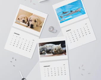 Calendario de pared de animales 2026 / Calendario mensual de fotografía de vida silvestre