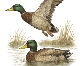 Retro Mallard Ducks Fall Png, 90s Waterfowl Duck Png, Vintage Duck Png, Animal Lover Png, Vintage Fall Png, Cute Fall Png