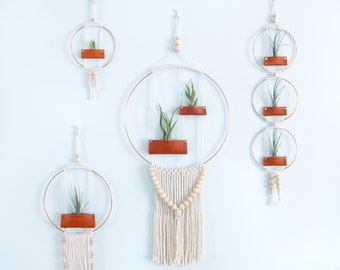 Air Plant Wall Hanging