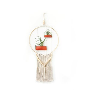 Air Plant Wall Hanging image 2