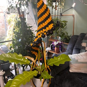 May include: A macrame plant hanger featuring a spiral pattern of black and yellow cord, accented with round black wooden beads. The hanger is suspended from a wooden ring and holds a white ceramic pot containing a green plant with wavy leaves.