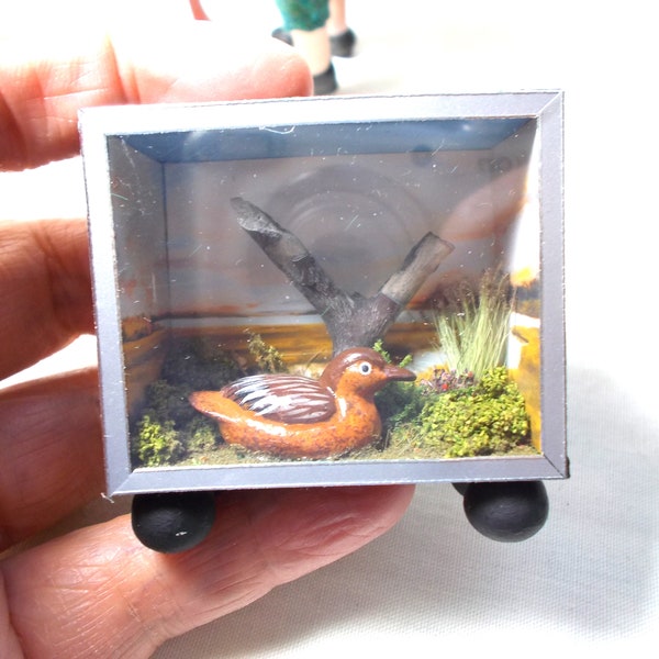 Duck Display Case Etsy