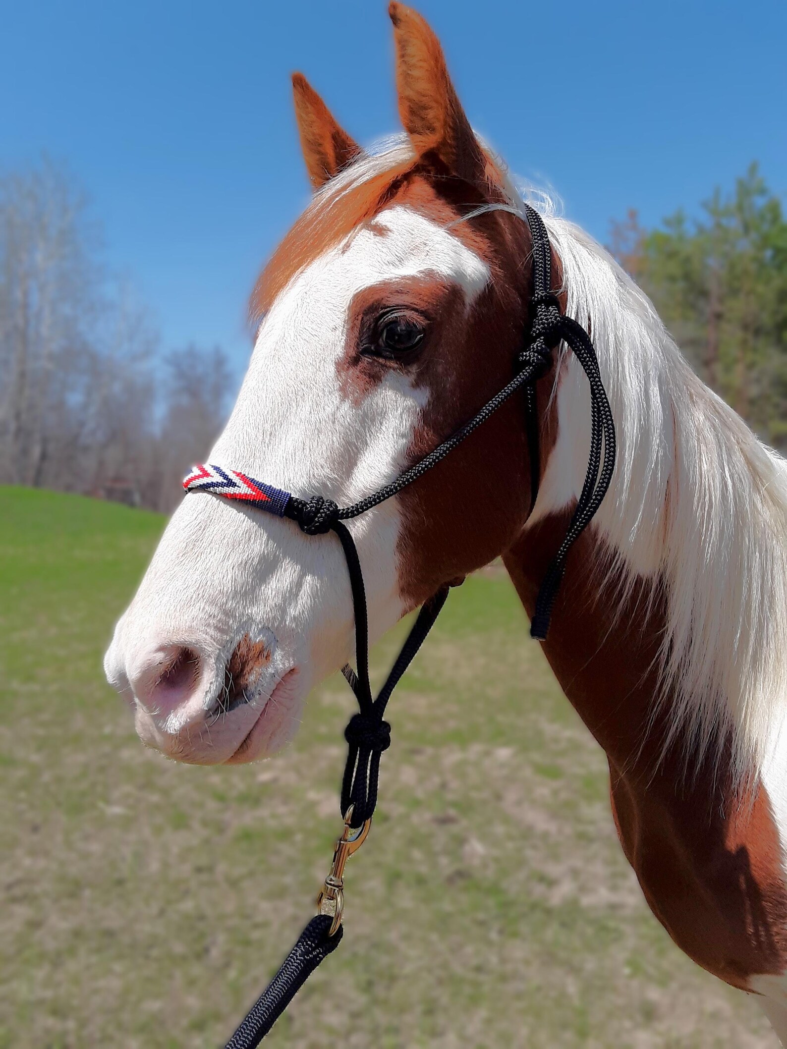 Handmade Horse Patriotic - Red, White + Blue - Beaded Rope Halter ...