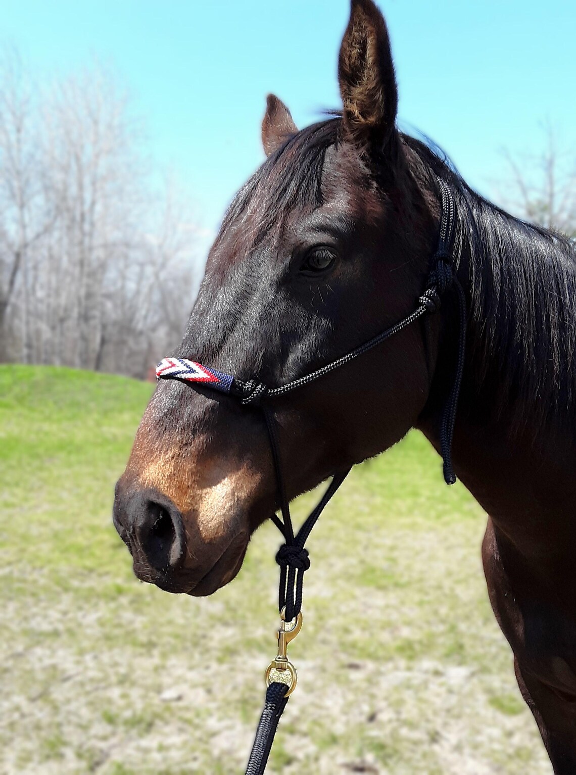 Handmade Horse Patriotic - Red, White + Blue - Beaded Rope Halter ...