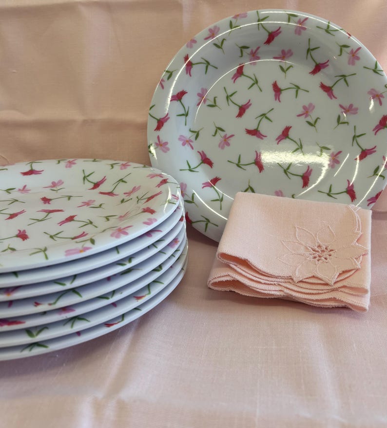 May include: A stack of white plates with a floral pattern of pink and red flowers and green stems. A matching bowl and a stack of pink napkins with a floral embroidered design are also present. The items are arranged on a pink surface.