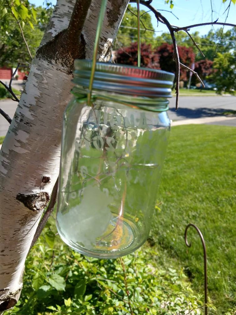 Personalized Pet Fairy Light Solar Memorial Etched Image of Your Pet Eternal Light