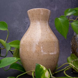 May include: A beige ceramic vase with a speckled finish, featuring a rounded body and a flared neck. The vase has a smooth, glossy surface texture and is surrounded by green pothos plant leaves with visible stems and heart-shaped foliage.