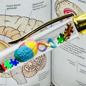 Può includere: Una penna trasparente con dettagli dorati, riempita con ciondoli colorati a forma di cervello e pezzi di puzzle. La penna è ambientata sullo sfondo di un'illustrazione anatomica dettagliata del cervello.