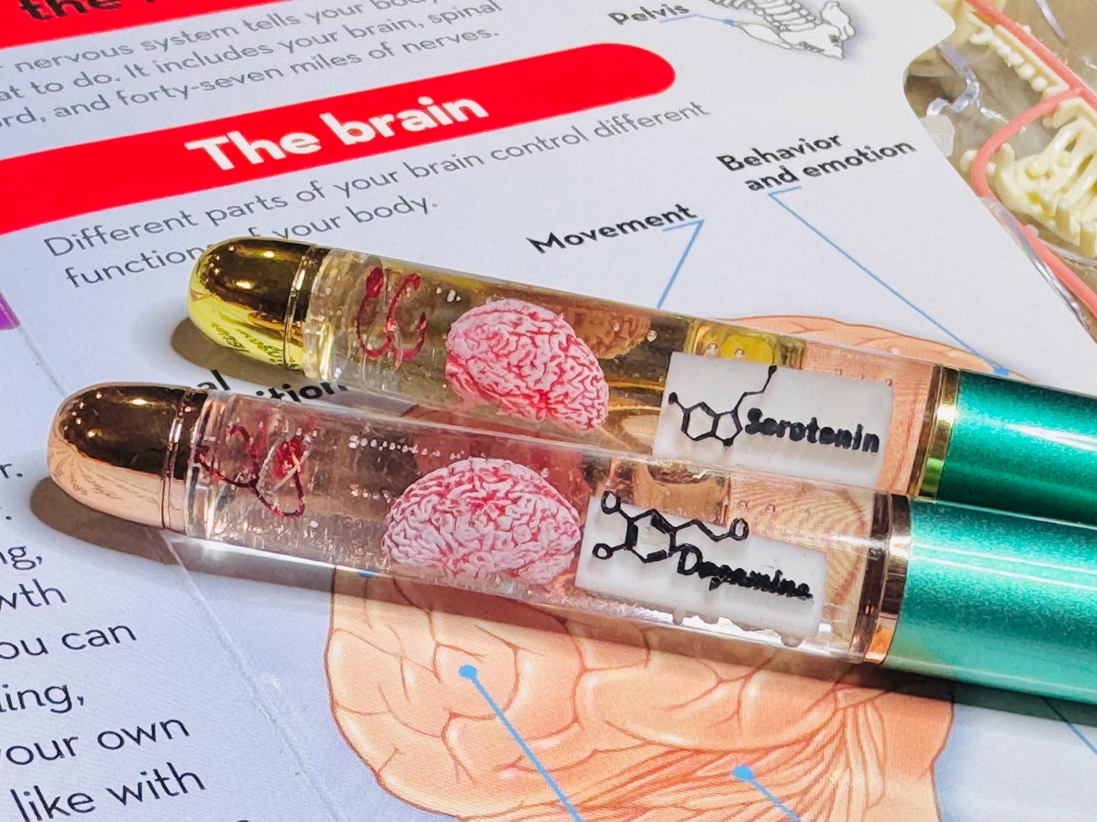 Handmade Dopamine/serotonin Brain Float Pen: Neurodivergent Gift - Etsy
