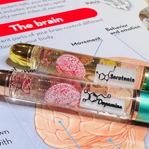 Puede incluir: Dos bol&iacute;grafos con tapas doradas y barriles verdes. Los barriles transparentes contienen un modelo de cerebro rosa y las palabras "Serotonina" y "Dopamina". Los bol&iacute;grafos est&aacute;n sobre una p&aacute;gina con las palabras "El cerebro" y diagramas del cerebro.