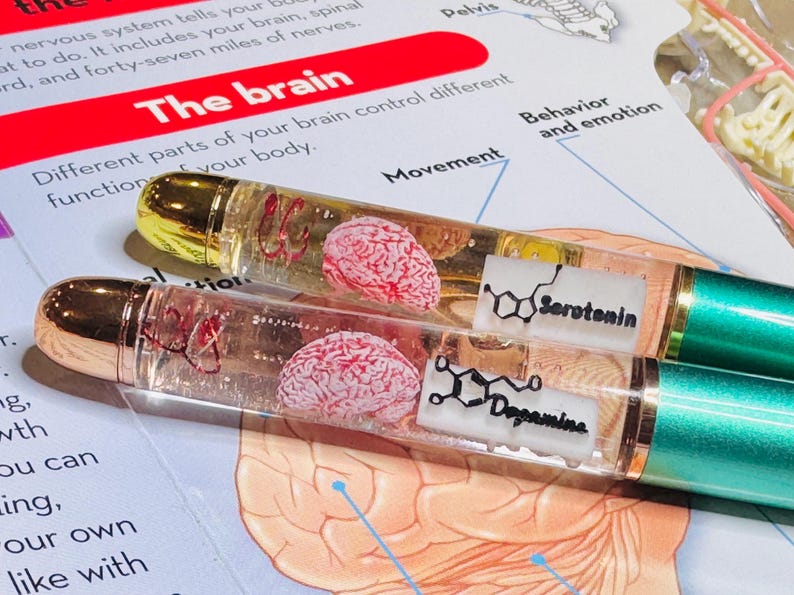 Puede incluir: Dos bol&iacute;grafos con tapas doradas y barriles verdes. Los barriles transparentes contienen un modelo de cerebro rosa y las palabras "Serotonina" y "Dopamina". Los bol&iacute;grafos est&aacute;n sobre una p&aacute;gina con las palabras "El cerebro" y diagramas del cerebro.