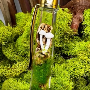 Mushroom Float Pen/Terrarium