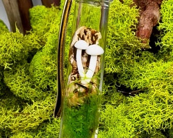 Mushroom Float Pen/Terrarium