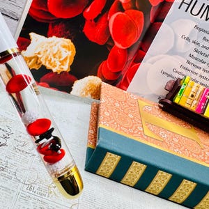 May include: A clear tube with red and black decorative elements, white beads, and a gold base. The tube is placed on a vintage newspaper print, with a book featuring images of blood cells and another book with the word "HUM" visible.