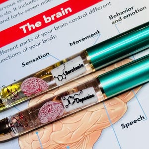 Puede incluir: Dos bol&iacute;grafos verdes y dorados con barriles transparentes, cada uno con un modelo de cerebro en miniatura y una etiqueta con la estructura qu&iacute;mica de los neurotransmisores. Los bol&iacute;grafos descansan sobre un diagrama del cerebro.