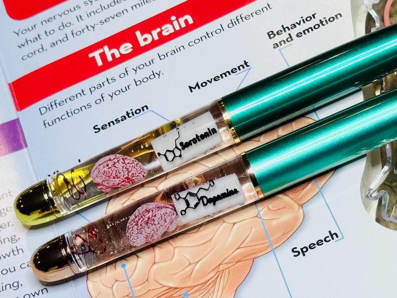 Puede incluir: Dos bol&iacute;grafos verdes y dorados con barriles transparentes, cada uno con un modelo de cerebro en miniatura y una etiqueta con la estructura qu&iacute;mica de los neurotransmisores. Los bol&iacute;grafos descansan sobre un diagrama del cerebro.