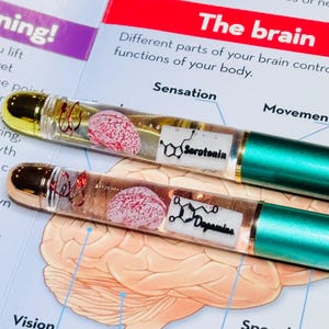Puede incluir: Dos bol&iacute;grafos transparentes con detalles dorados, cada uno con un modelo de cerebro en miniatura y una estructura qu&iacute;mica. Uno muestra "Serotonina", el otro "Dopamina". Los bol&iacute;grafos est&aacute;n sobre un diagrama del cerebro.