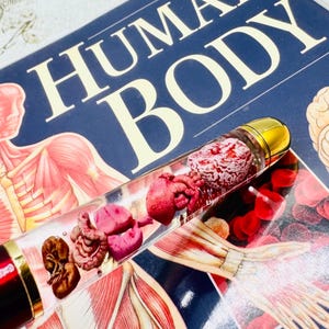 Lichaamsdelen vlotterpen/cadeau chirurg/verpleegkundige pen/cadeau dokter/ pennen menselijke anatomie/medisch/chirurgisch/lichaamsorganen