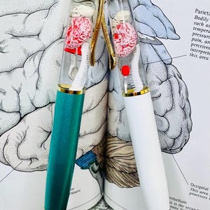 May include: Two novelty pens with clear barrels showcasing miniature brain models. One pen has a teal barrel, the other is white. Both have gold accents and are set against an open book with brain diagrams.