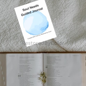 May include: A blue watercolor illustration of a water droplet with the text "Soul Needs Guided Journal" and "Created With Care by Restored by Color".