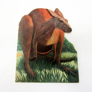 Vintage Children’s Book Kankie Kangaroo Who Couldn&#39;t Hop 1945