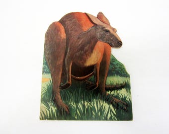 Vintage Children’s Book Kankie Kangaroo Who Couldn't Hop 1945