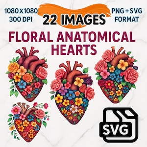 22 Floral Anatomical Heart Clipart Bundle | High-Res PNG & SVG | Transparent Medical Botanical Illustrations for Sublimation, Stickers