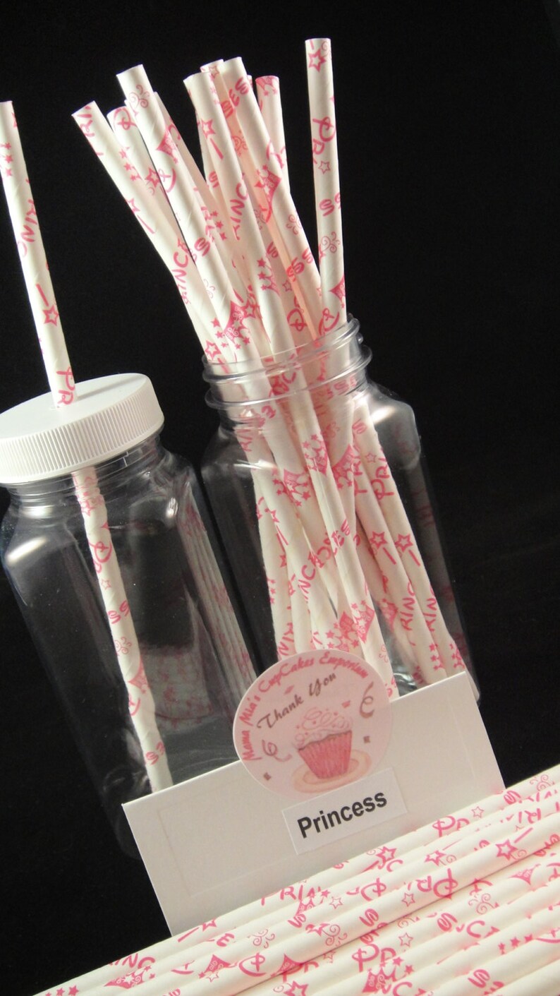 Princess Print Paper Straw, Mason Jar Straws, Weddings, Birthday Party, Baby Showers, Retro Paper Straws QTY 12 image 4