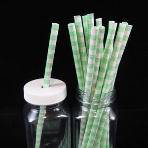 Green Plaid Straws,  Mason Jar Straw, Plaid Straws, Paper Drinking Straw, Cake Pop Stick, Barbecue Party, Kids Party, Baby Shower - Qty 12