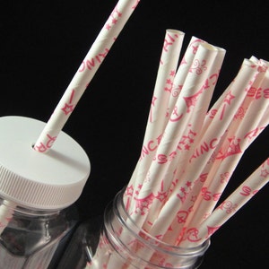 Princess Print Paper Straw, Mason Jar Straws, Weddings, Birthday Party, Baby Showers, Retro Paper Straws QTY 12 image 1