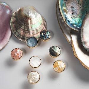Abalone Shell Drawer Pulls: Brass Cabinet Knobs, Coastal Decor