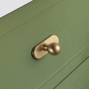 May include: Close-up of a gold-toned cabinet knob with a rounded handle and a rectangular base. The knob is mounted on a green cabinet door. The cabinet door has a recessed panel design.