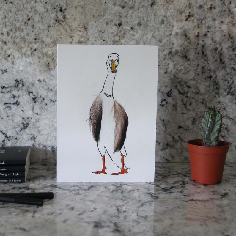 Tin of 6 different duck cards Blank inside from Cluck Cluck!