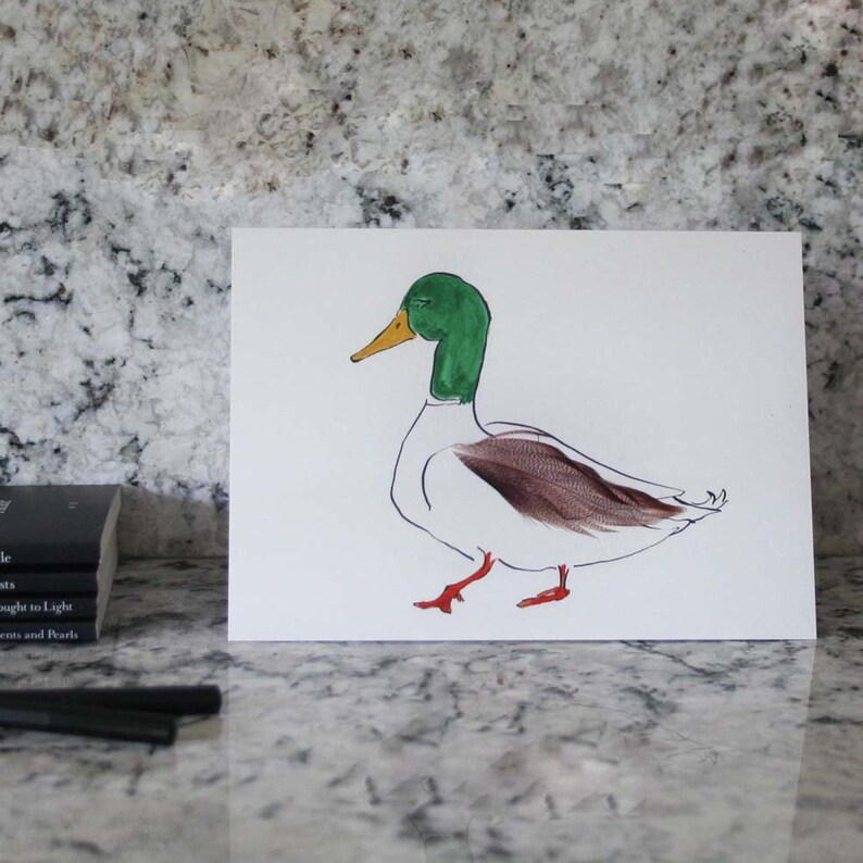 Tin of 6 different duck cards Blank inside from Cluck Cluck!